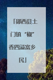 郧西县土门镇“椒”香四溢富乡民