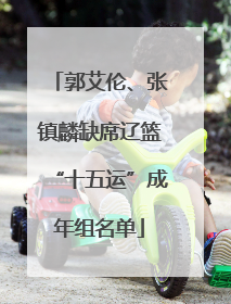 郭艾伦、张镇麟缺席辽篮“十五运”成年组名单