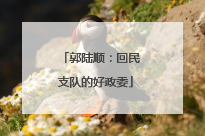 郭陆顺：回民支队的好政委