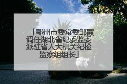 鄂州市委常委邹霞调任湖北省纪委监委派驻省人大机关纪检监察组组长