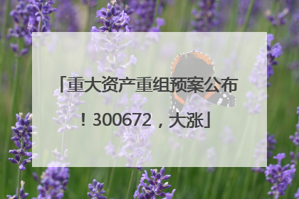 重大资产重组预案公布！300672，大涨