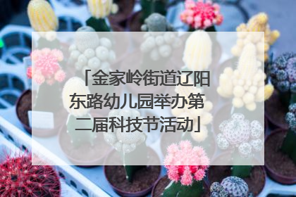 金家岭街道辽阳东路幼儿园举办第二届科技节活动