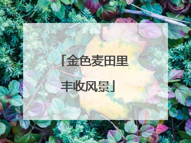 金色麦田里丰收风景