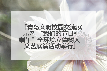 青岛文明校园交流展示暨 “我们的节日•端午”全环境立德树人文艺展演活动举行