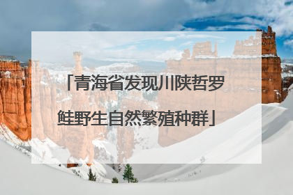 青海省发现川陕哲罗鲑野生自然繁殖种群