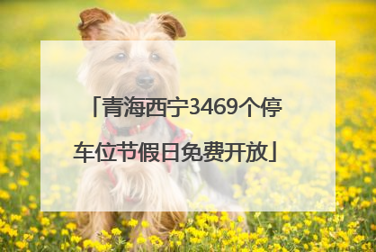 青海西宁3469个停车位节假日免费开放
