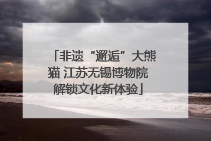 非遗“邂逅”大熊猫 江苏无锡博物院解锁文化新体验
