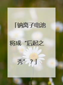 钠离子电池将成“后起之秀”？