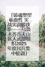 铸魂塑型砺血性 实战实训锻铁拳——乌鲁木齐市天山区人武部组织2025年度民兵集中轮训