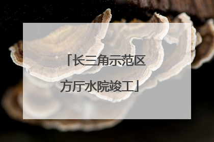 长三角示范区方厅水院竣工
