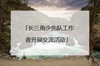 长三角少先队工作者开展交流活动