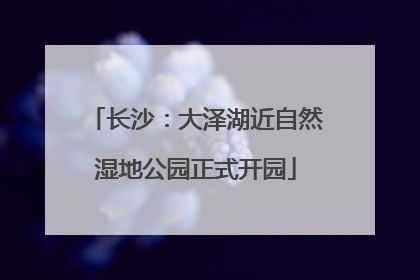 长沙：大泽湖近自然湿地公园正式开园