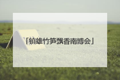 镇雄竹笋飘香南博会
