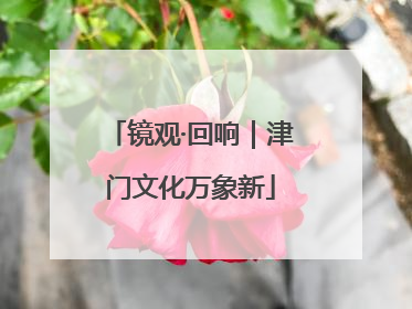 镜观·回响｜津门文化万象新