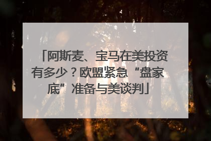 阿斯麦、宝马在美投资有多少？欧盟紧急“盘家底”准备与美谈判
