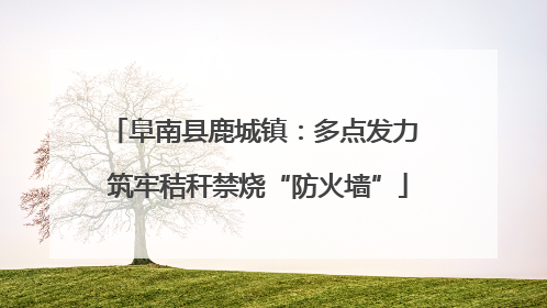 阜南县鹿城镇：多点发力 筑牢秸秆禁烧“防火墙”