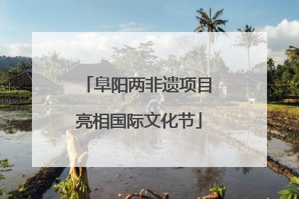 阜阳两非遗项目亮相国际文化节