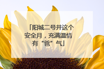 阳城二号井这个安全月，充满温情有“爸”气