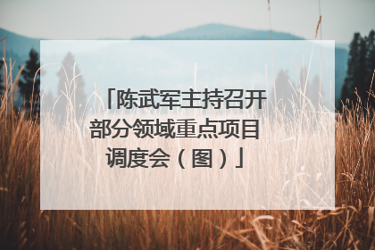 陈武军主持召开部分领域重点项目调度会（图）