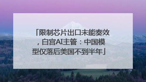 限制芯片出口未能奏效，白宫AI主管：中国模型仅落后美国不到半年