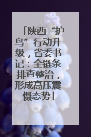 陕西“护鸟”行动升级，省委书记：全链条排查整治，形成高压震慑态势