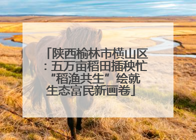 陕西榆林市横山区：五万亩稻田插秧忙 “稻渔共生”绘就生态富民新画卷