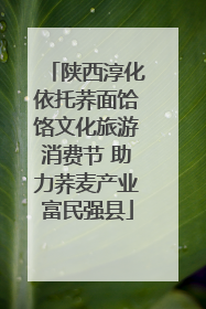 陕西淳化依托荞面饸饹文化旅游消费节 助力荞麦产业富民强县