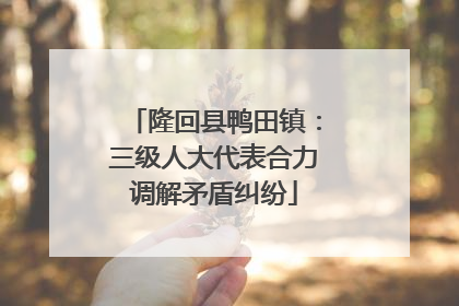 隆回县鸭田镇：三级人大代表合力调解矛盾纠纷