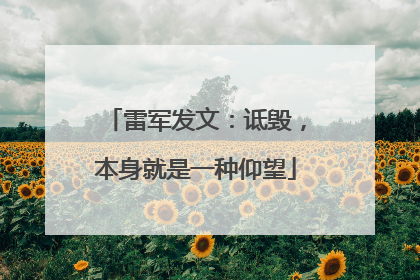 雷军发文：诋毁，本身就是一种仰望