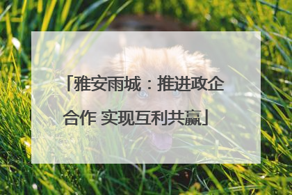 雅安雨城：推进政企合作 实现互利共赢