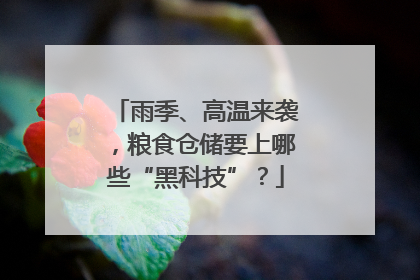 雨季、高温来袭，粮食仓储要上哪些“黑科技”？
