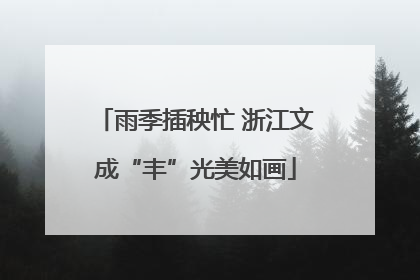 雨季插秧忙 浙江文成“丰”光美如画