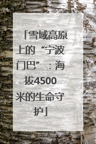 雪域高原上的“宁波门巴”：海拔4500米的生命守护