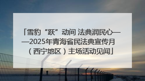 雪豹“跃”动间 法典润民心——2025年青海省民法典宣传月（西宁地区）主场活动见闻