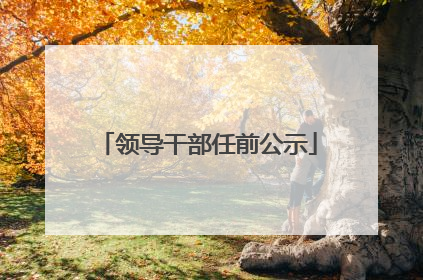 领导干部任前公示