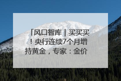 风口智库｜买买买！央行连续7个月增持黄金，专家：金价或仍易涨难跌