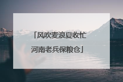 风吹麦浪夏收忙 河南老兵保粮仓