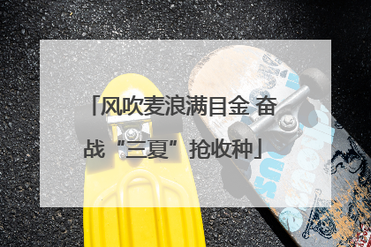 风吹麦浪满目金 奋战“三夏”抢收种