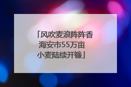 风吹麦浪阵阵香 海安市55万亩小麦陆续开镰