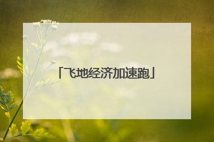 飞地经济加速跑