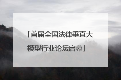 首届全国法律垂直大模型行业论坛启幕