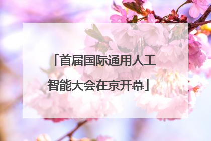 首届国际通用人工智能大会在京开幕