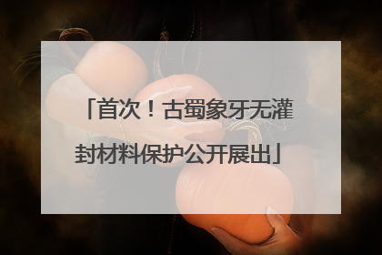 首次！古蜀象牙无灌封材料保护公开展出