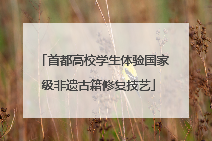 首都高校学生体验国家级非遗古籍修复技艺