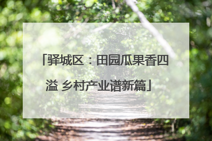 驿城区：田园瓜果香四溢 乡村产业谱新篇
