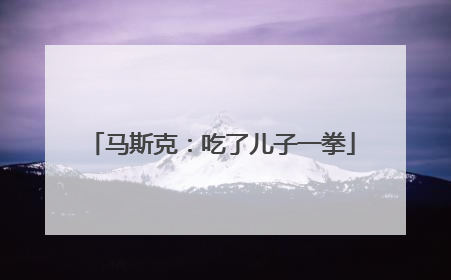马斯克：吃了儿子一拳