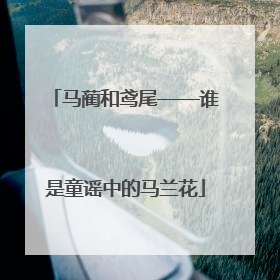 马蔺和鸢尾——谁是童谣中的马兰花