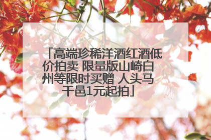 高端珍稀洋酒红酒低价拍卖 限量版山崎白州等限时买赠 人头马干邑1元起拍