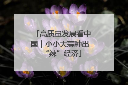 高质量发展看中国｜小小大蒜种出“辣”经济
