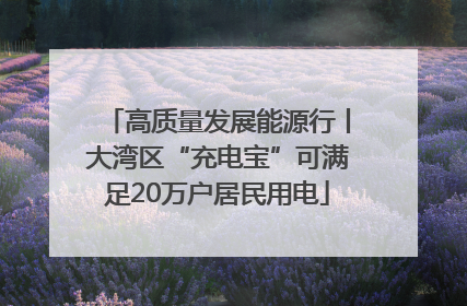 高质量发展能源行丨大湾区“充电宝”可满足20万户居民用电